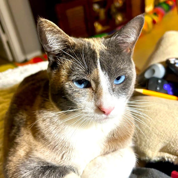 Meet your posher moeymomo/adrian’ - Picture 9 of 16